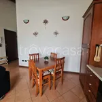 Affitto 3 camera appartamento di 85 m² in Val di Nizza