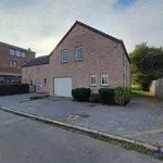 Rent 3 bedroom house of 500 m² in Namur