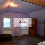 Rent 13 bedroom house of 240 m² in Lublin