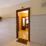 Rent 3 bedroom apartment in Cordoba