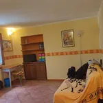 Rent 1 bedroom apartment of 32 m² in Turin