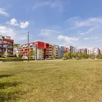 Rent 3 bedroom apartment of 65 m² in Düsseldorf