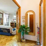 Rent 1 bedroom apartment of 50 m² in madrid