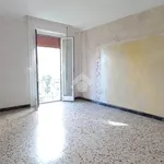 Rent 2 bedroom apartment of 51 m² in Sant'Anastasia