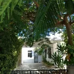 Rent 5 bedroom house in Mérida