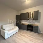 Rent 1 bedroom apartment of 30 m² in Reggio nell'Emilia