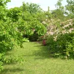 2 zimmer, küche, bad/wc, gartenanteil, 
holzdielenboden in den zimmern