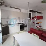 Rent 2 bedroom apartment of 50 m² in Novara