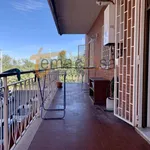 Rent 2 bedroom apartment of 55 m² in Roma