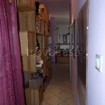 Rent 3 bedroom apartment of 75 m² in Bologna