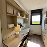 Rent 1 bedroom apartment in Madrid