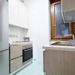 Rent 3 bedroom apartment of 85 m² in Monza