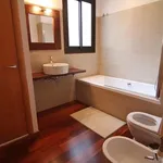 Rent 1 bedroom apartment in Antwerp