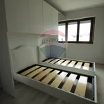 Affitto 3 camera appartamento di 84 m² in Viterbo