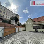 Rent 1 bedroom apartment of 30 m² in Mikulov