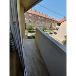 Rent 1 bedroom apartment of 36 m² in Pécs