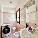 Rent 3 bedroom apartment of 70 m² in Cerveteri