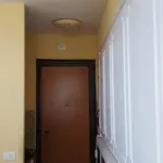 Rent 1 bedroom house of 25 m² in Rome