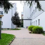 Pronajměte si 1 ložnic/e byt o rozloze 45 m² v Brno