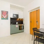 Rent 1 bedroom apartment in Prague