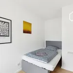 Rent 3 bedroom apartment of 78 m² in München