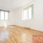 Rent 6 bedroom apartment of 250 m² in Prague