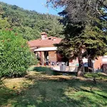 Rent 5 bedroom house of 80 m² in Ameglia