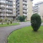 Rent 3 bedroom apartment of 75 m² in Legnano