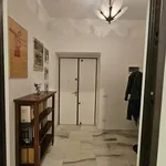 Rent 2 bedroom apartment of 30 m² in Roma