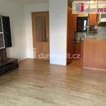 Rent 2 bedroom apartment of 58 m² in Praha