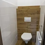 Pronajměte si 3 ložnic/e byt o rozloze 88 m² v Nisou