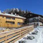 Rent 3 bedroom apartment of 115 m² in Cortina d'Ampezzo