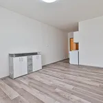 Pronájem bytu 1+kk, Na Loučkách, Kuřim,  12 500Kč/měs, 30 m2