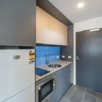 Rent 1 bedroom student apartment in Hawthorn