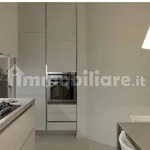 Rent 3 bedroom apartment of 100 m² in Varese