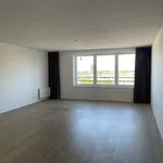 Huur 1 slaapkamer appartement van 49 m² in Leiden