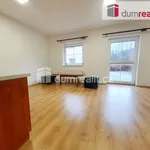 Rent 1 bedroom apartment of 37 m² in Úholičky