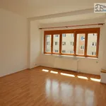 Rent 3 bedroom apartment of 90 m² in Brno