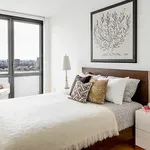 Rent 3 bedroom apartment in Manhattan