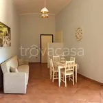 Rent 3 bedroom apartment of 80 m² in Barletta