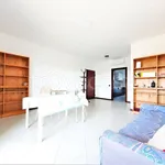 Rent 3 bedroom apartment of 102 m² in Milano