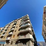 Rent 4 bedroom apartment of 100 m² in Palermo