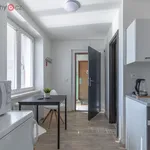 Rent 2 bedroom apartment of 33 m² in Meziboří