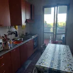 Rent 5 bedroom apartment in Rome