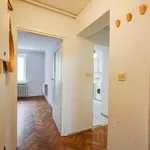 Rent 1 bedroom apartment of 33 m² in Szczecin