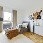 Rent 3 bedroom apartment of 90 m² in Matzendorf-Hölles