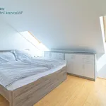 Rent 3 bedroom apartment in Praha 2