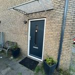 Rent 2 bedroom apartment of 80 m² in Enschede