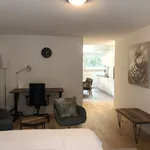 Rent 1 bedroom apartment of 700 m² in Zurich