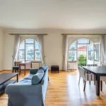 Rent 4 bedroom apartment of 150 m² in Prague